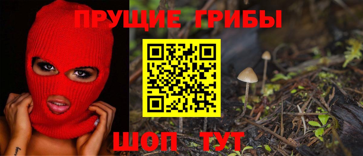 Псилоцибиновые грибы мицелий Обь